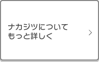 ナカジツについてもっと詳しく