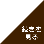続きを見る