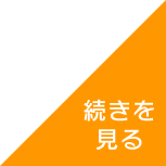 続きを見る