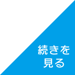 続きを見る
